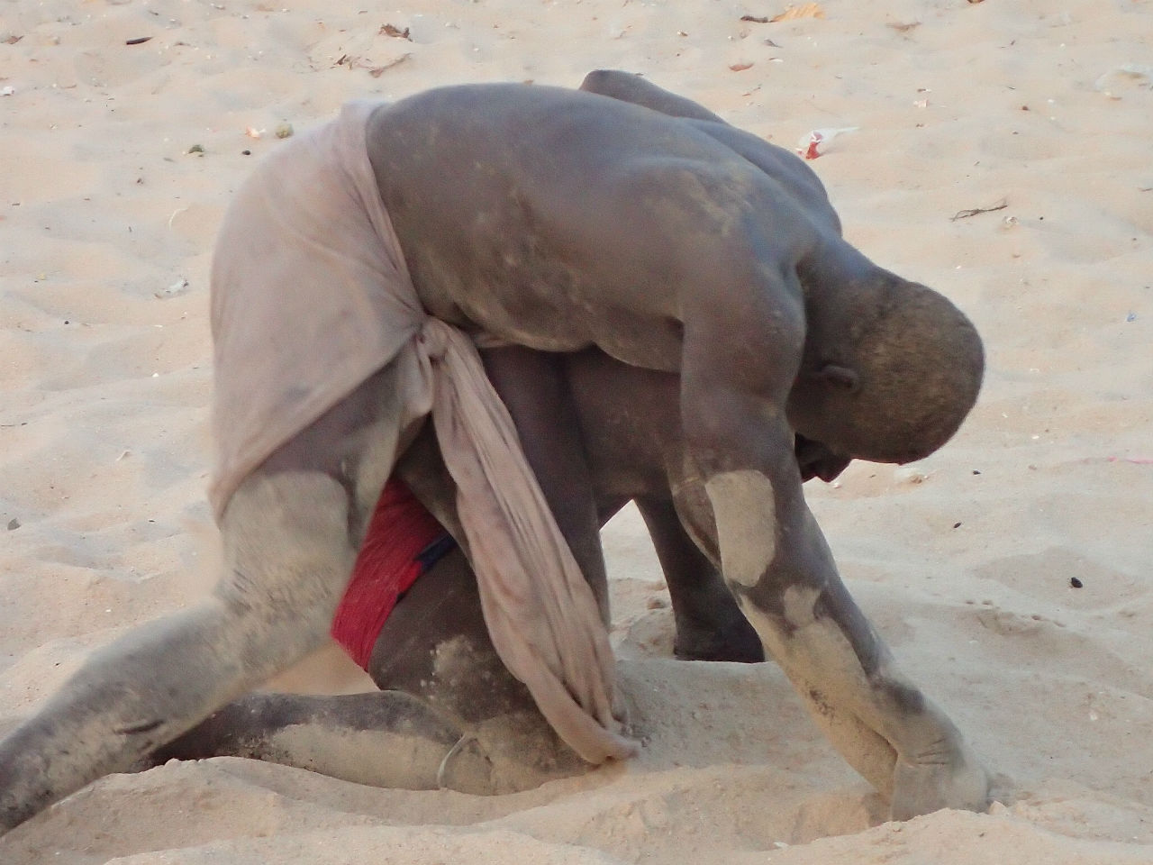 Сенегальская национальная борьба лаамб. Первобытные страсти Сенегал