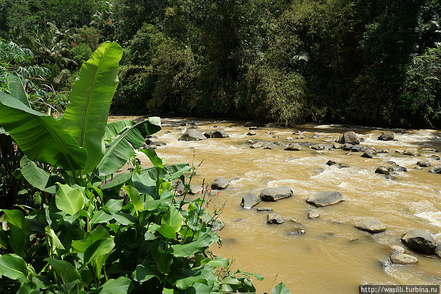 Местная речка жёлтого цвета — признак высокого содержания ила. Ява, Индонезия