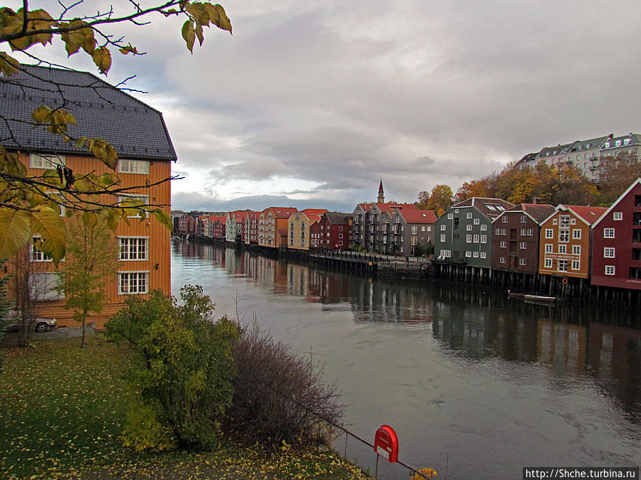 застройка берега домиками на сваях