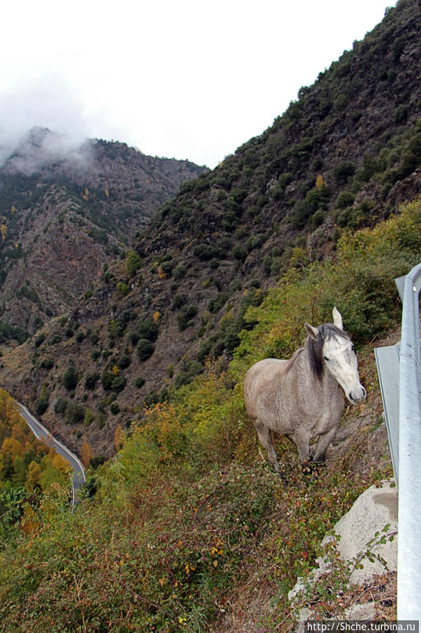 Конь высокогорный... переход Суворова через Пиренеи возможен Биксессарри, Андорра