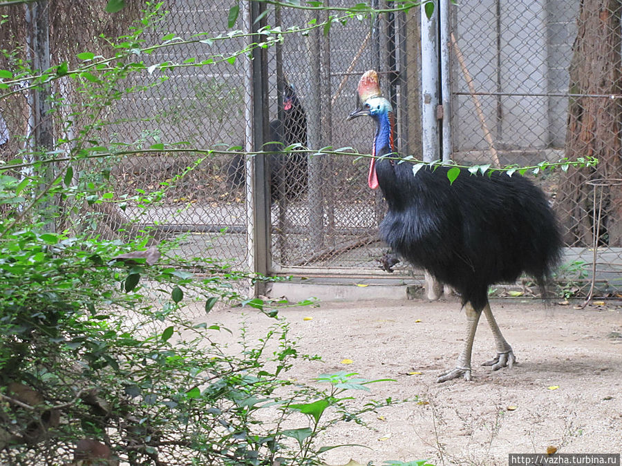 Зоопарк Гуанджоу Гуанчжоу, Китай