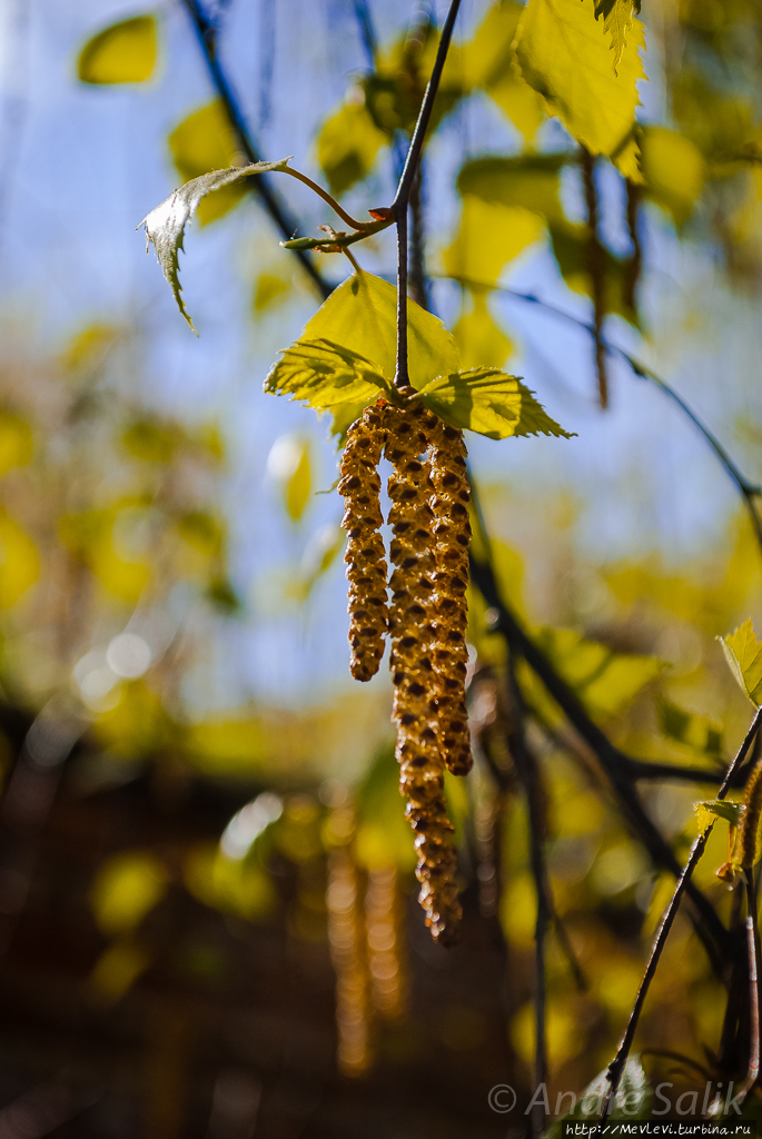 Daugavgrīvas Cietoksnis Рига, Латвия