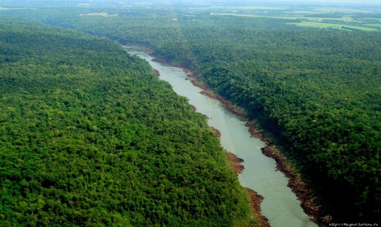 Река Игуасу  после  порогов. Игуасу национальный парк (Бразилия), Бразилия