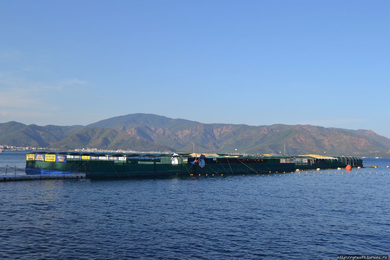 Дельфинариум / Dolphin-Park / Dolphin Therapy Center