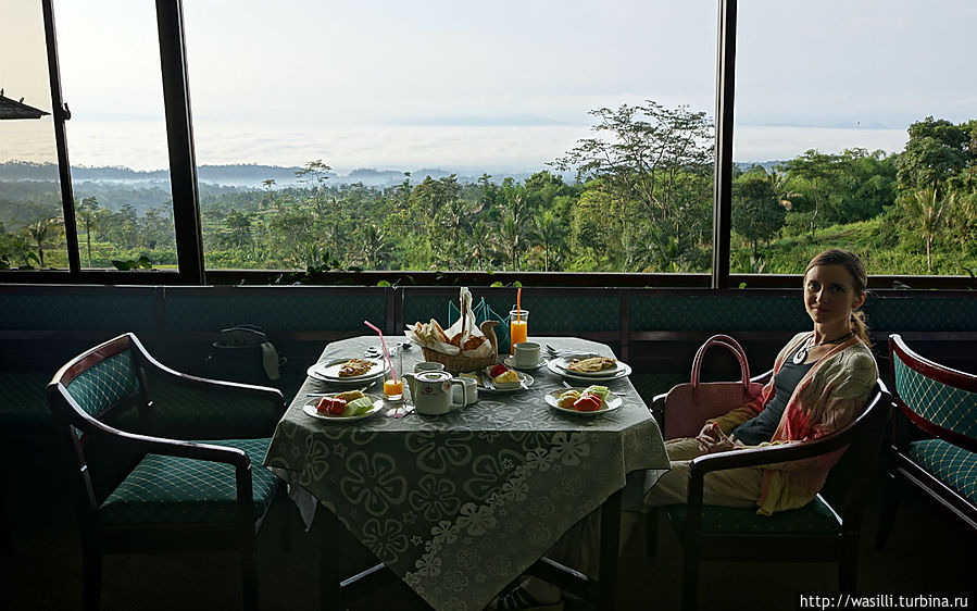 Релакс завтрак у релакс окна. Отель Queen Garden. Ява, Индонезия