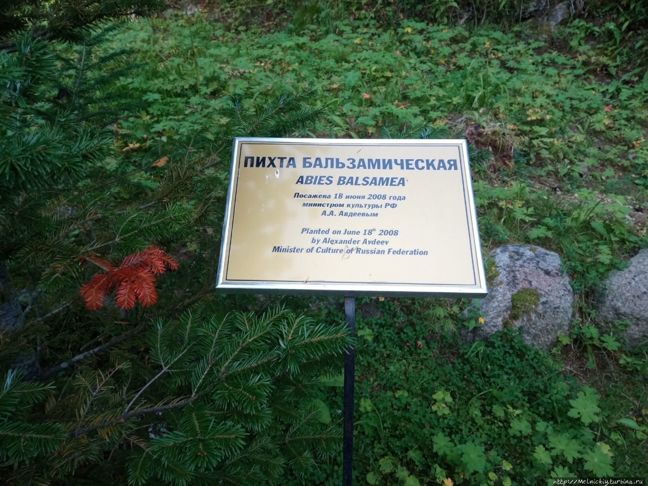 Ботанический сад Соловецкие острова, Россия
