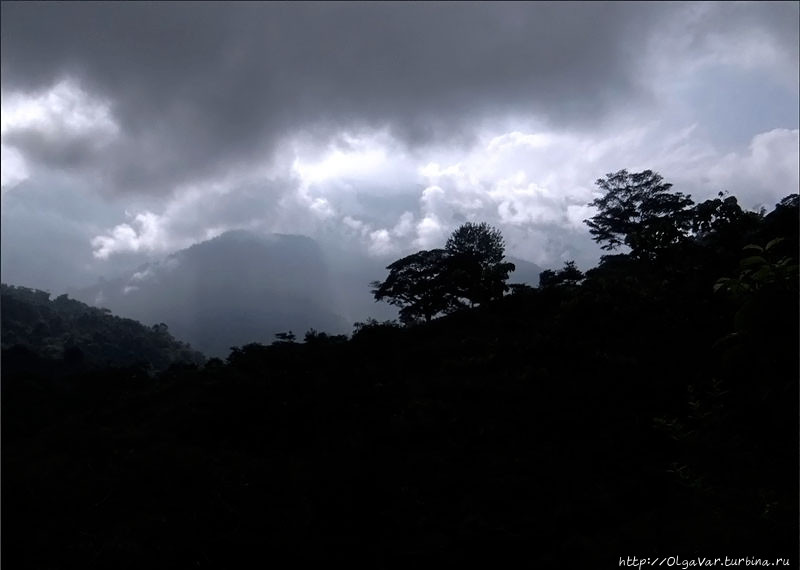 В горах Сьерра-Невада-де-Санта-Марта Сьерра-Невада-де-Санта-Марта Национальный Парк, Колумбия