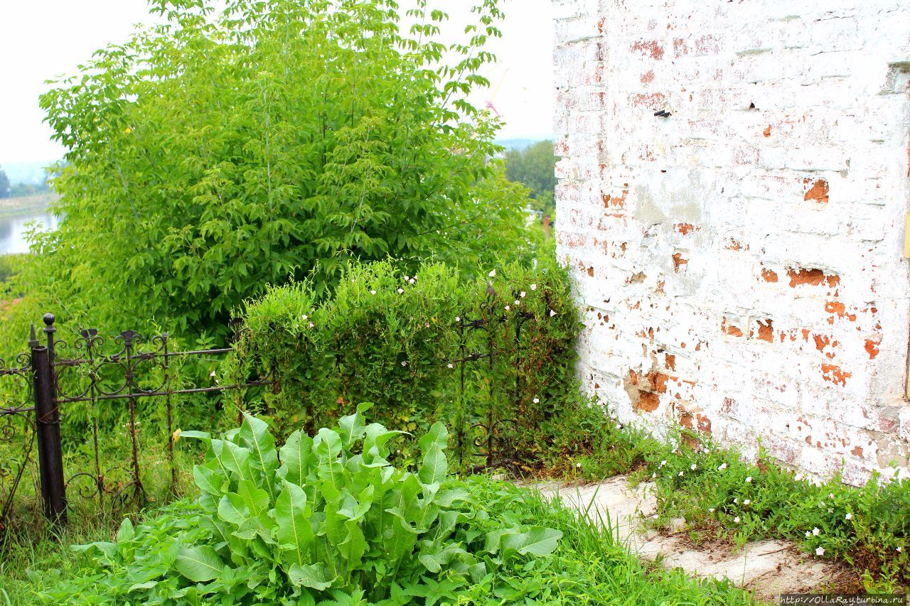 Городец. Альбом с мемуарами из исторического центра. Городец, Россия