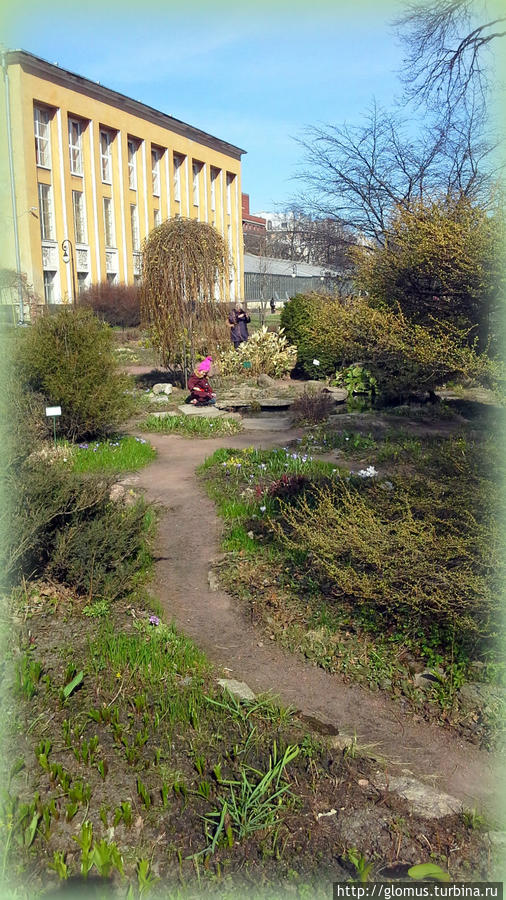 Апрельский Ботанический сад Санкт-Петербург, Россия