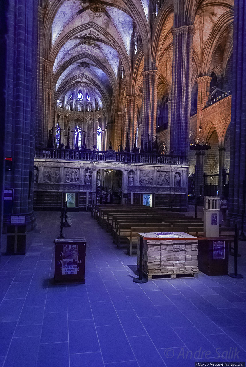 Кафедральный собор изнутри Барселона, Испания