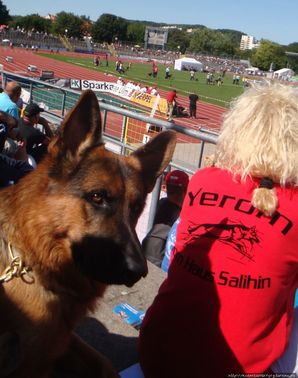 Зигер в Ульме Ульм, Германия Зигер в Ульме Ульм, Германия