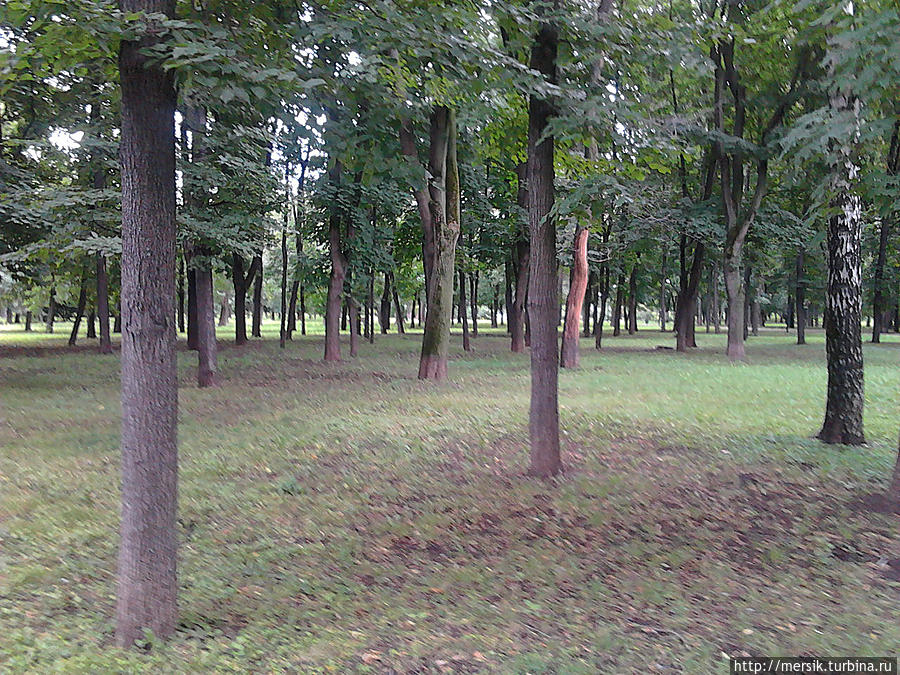 Чапаевский парк в Чапаевском переулке Москва, Россия