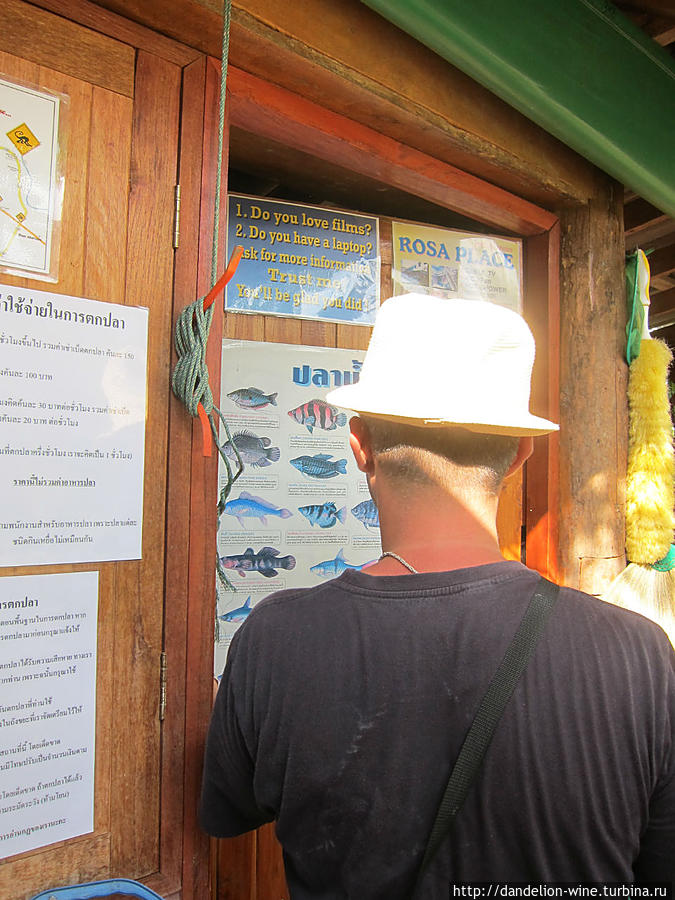 Инструктаж можно пройти и самостоятельно: на дверях бара вывешены иллюстрации рыб, которых вы сможете (?) выловить в пруду. Пай, Таиланд