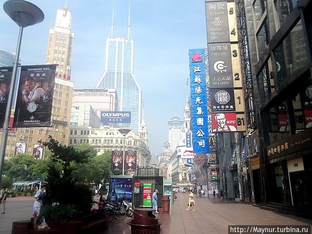 Знаменитая  Нанкинская улица.  Самая оживленная торговая улица мира. Также носит неофициальное название — 