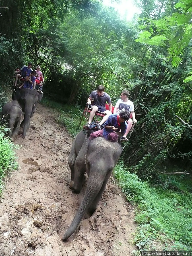 В стране слонов и улыбок Паттайя, Таиланд