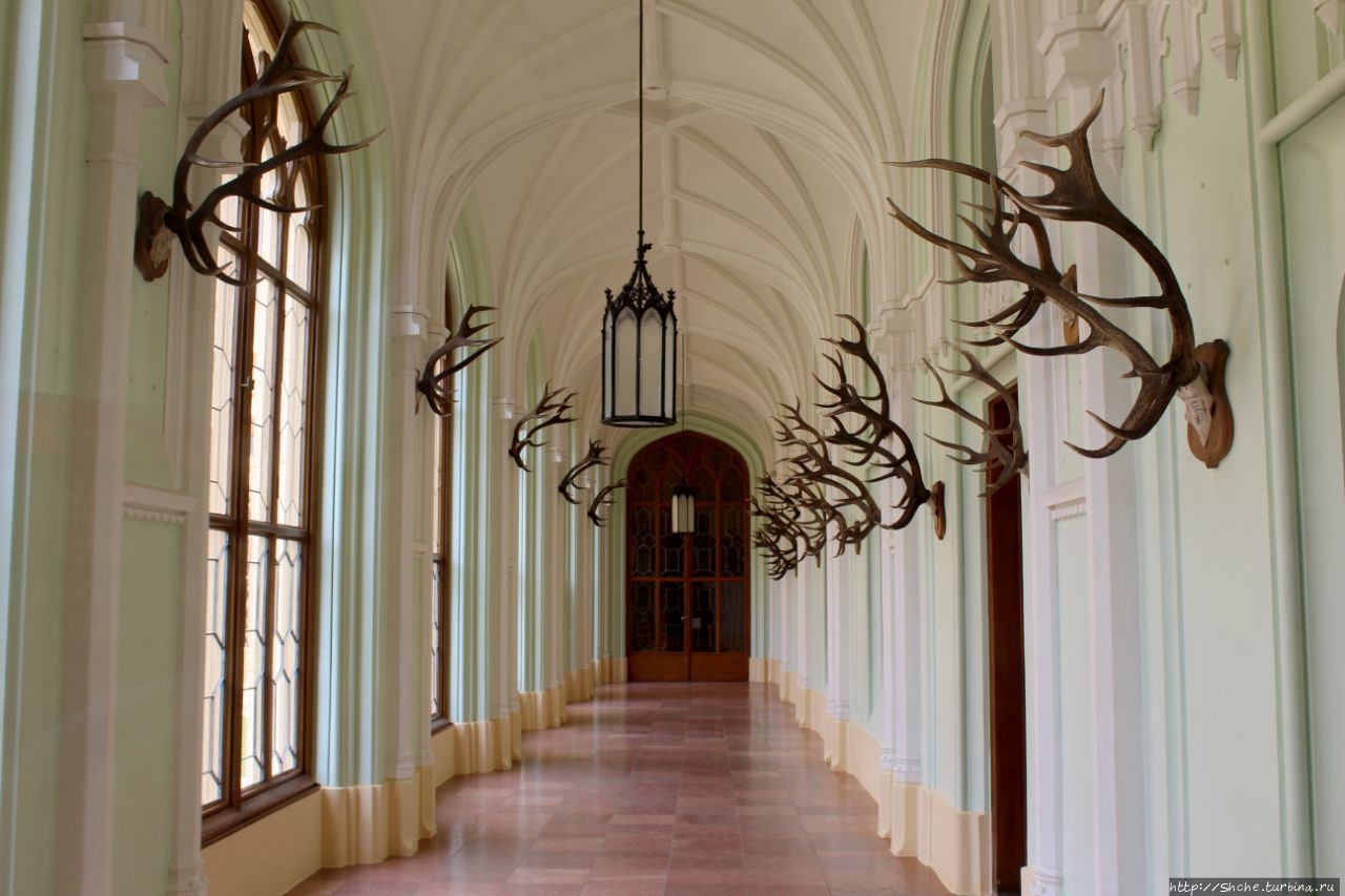 Замок Леднице Леднице, Чехия