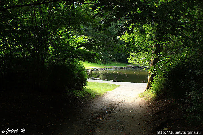 Прогулка в Ботаническом саду: живописно, тихо, уединенно Паланга, Литва