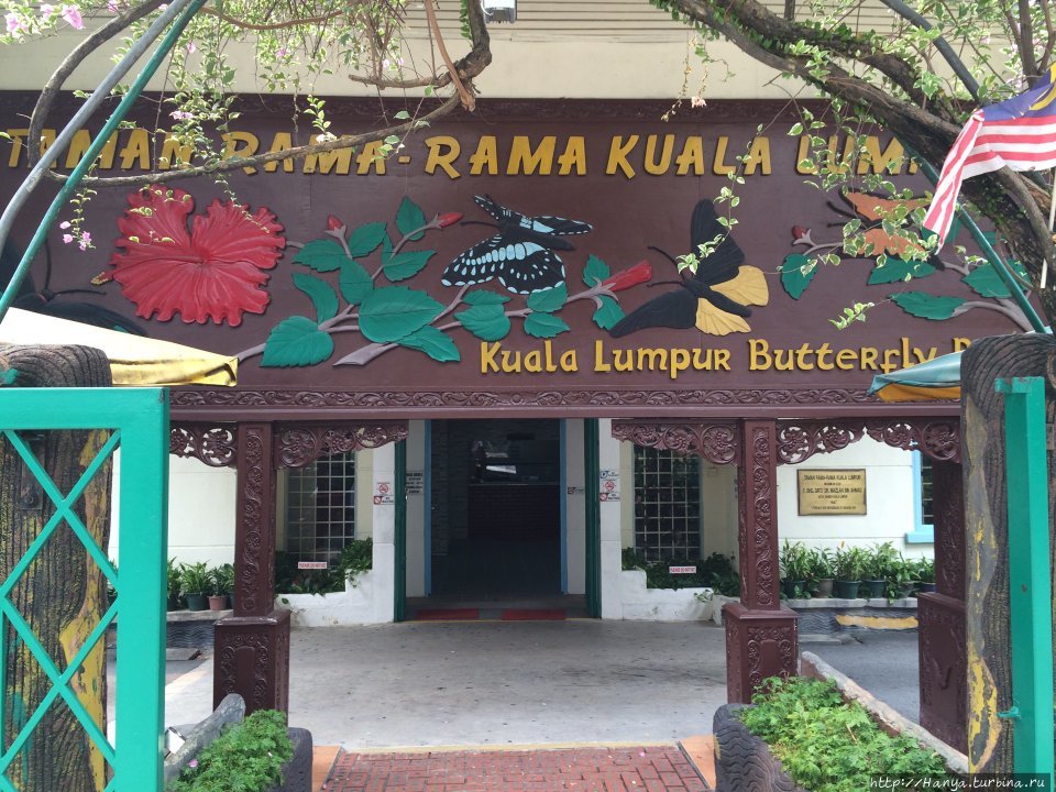 Парк бабочек