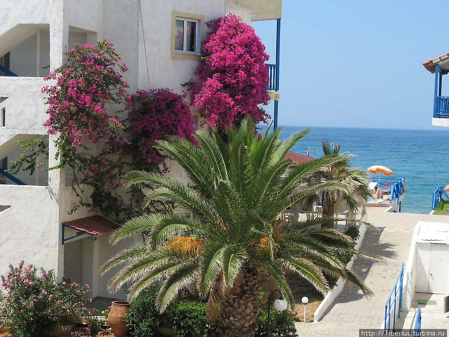 Отель Estelar Christiana Beach Агиос-Николаос, Греция