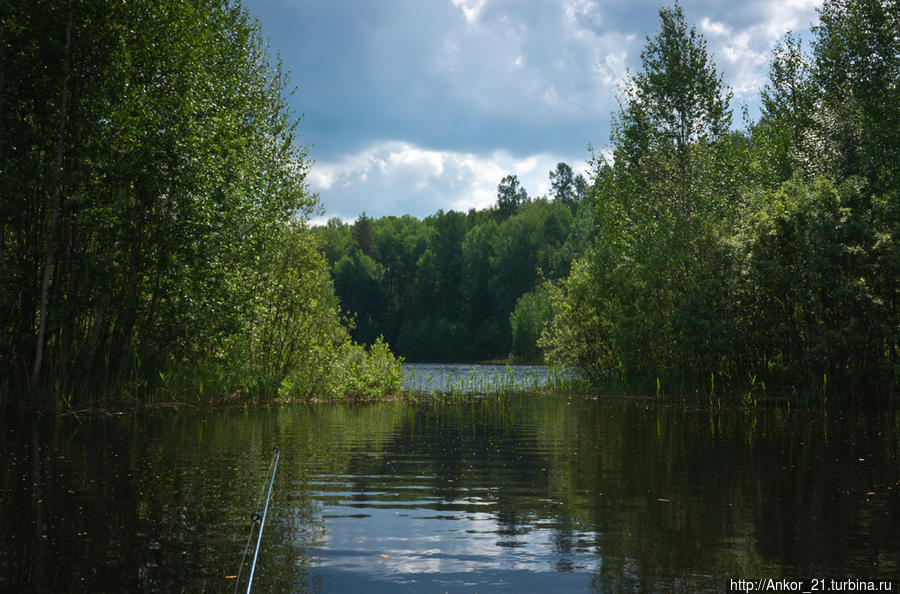 Чваниха — райский уголок Кировская область, Россия