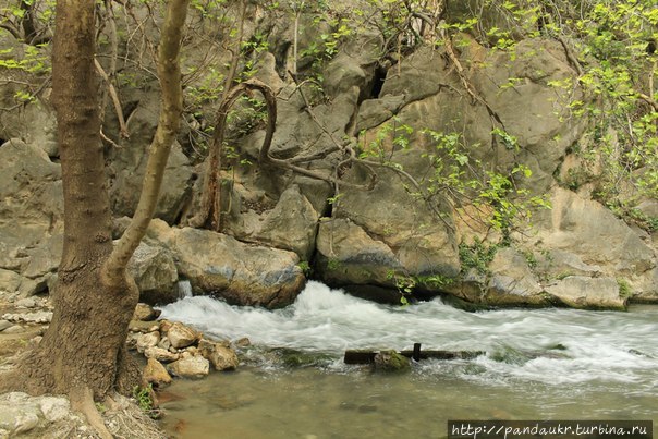 ущелье Саклыкент