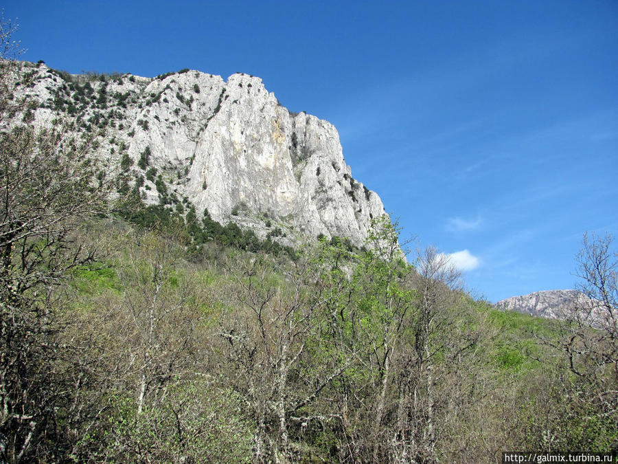 Скальная стенка Парагильмена Алушта, Россия