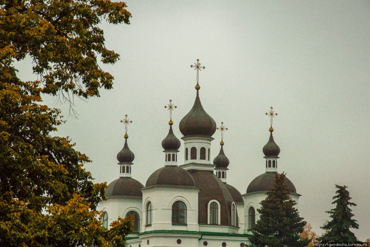 Экспресс поездка в велосипедный Козелец Козелец, Украина