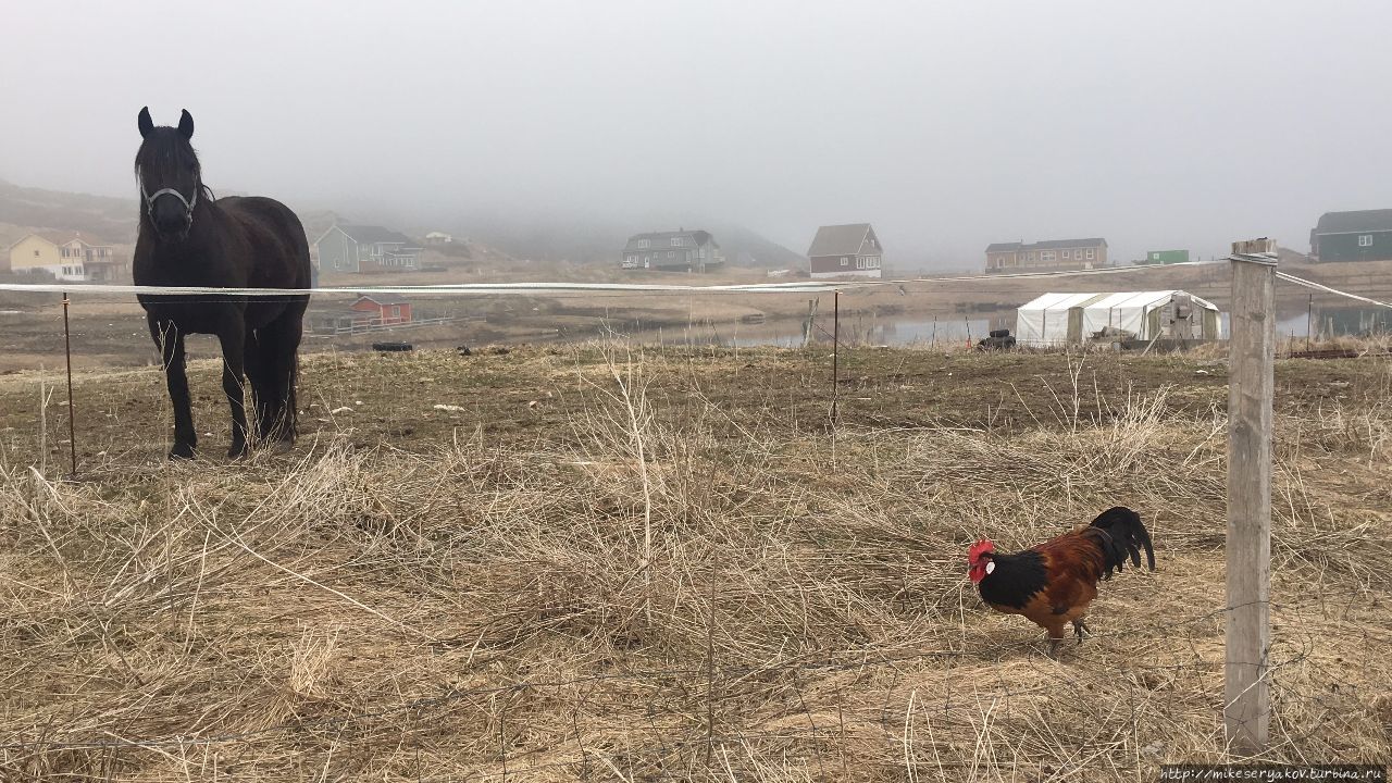 Сен-Пьер. Остатки Новой Франции Остров Сен-Пьер, Сен-Пьер и Микелон