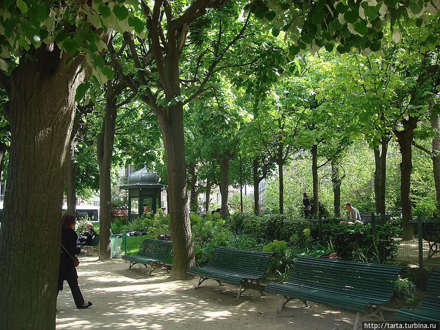 Зеленые кроны и дорожки в солнечных бликах