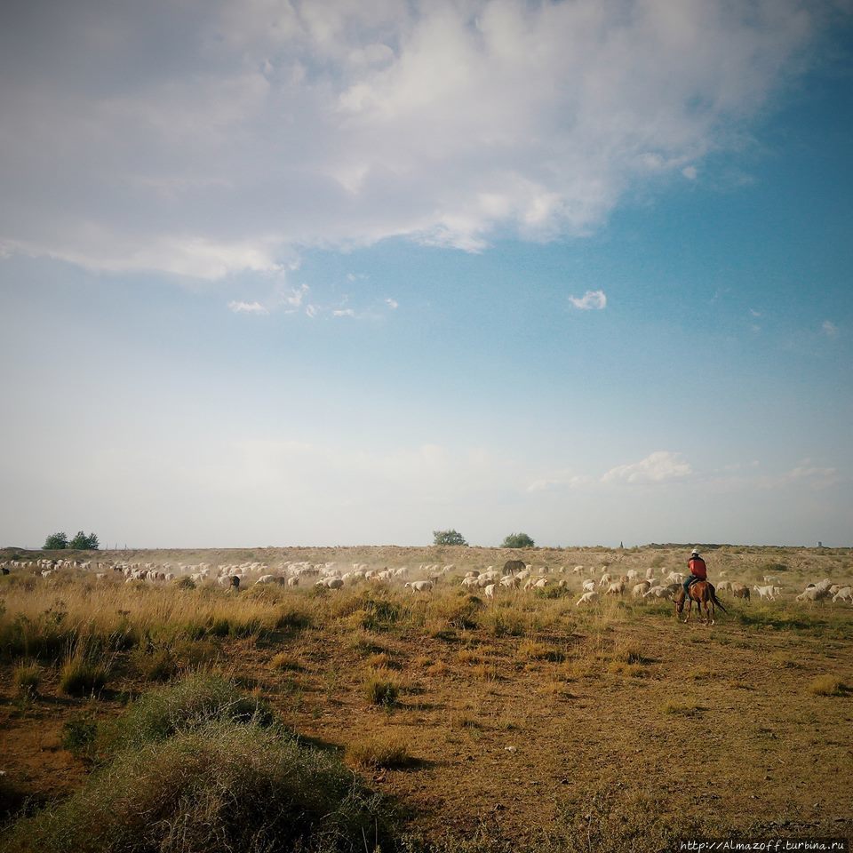 Каньоны, степь и горячие источники — настоящие выходные! Чунджа, Казахстан