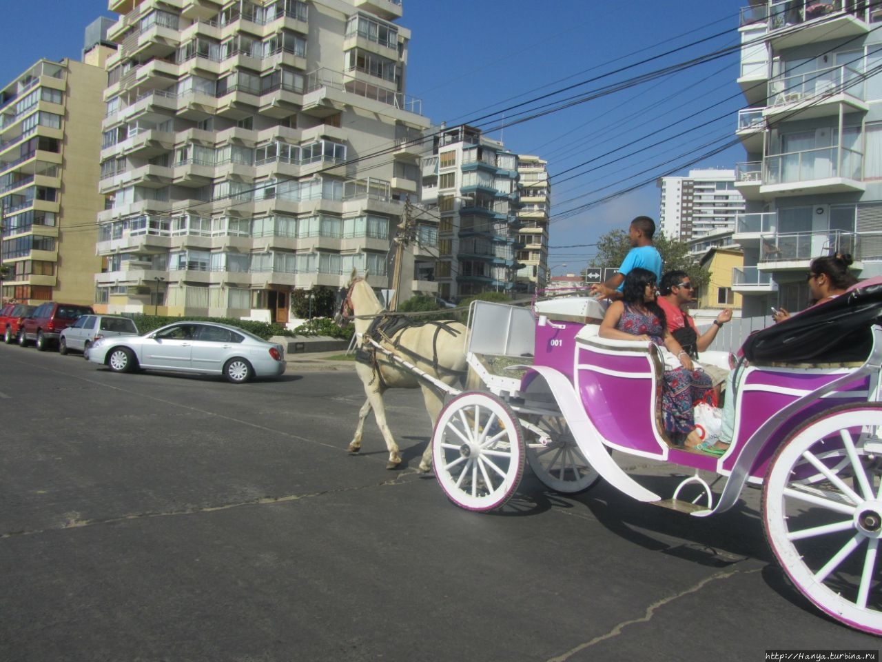 Сити-тур с Rodotour Винья-дель-Мар, Чили