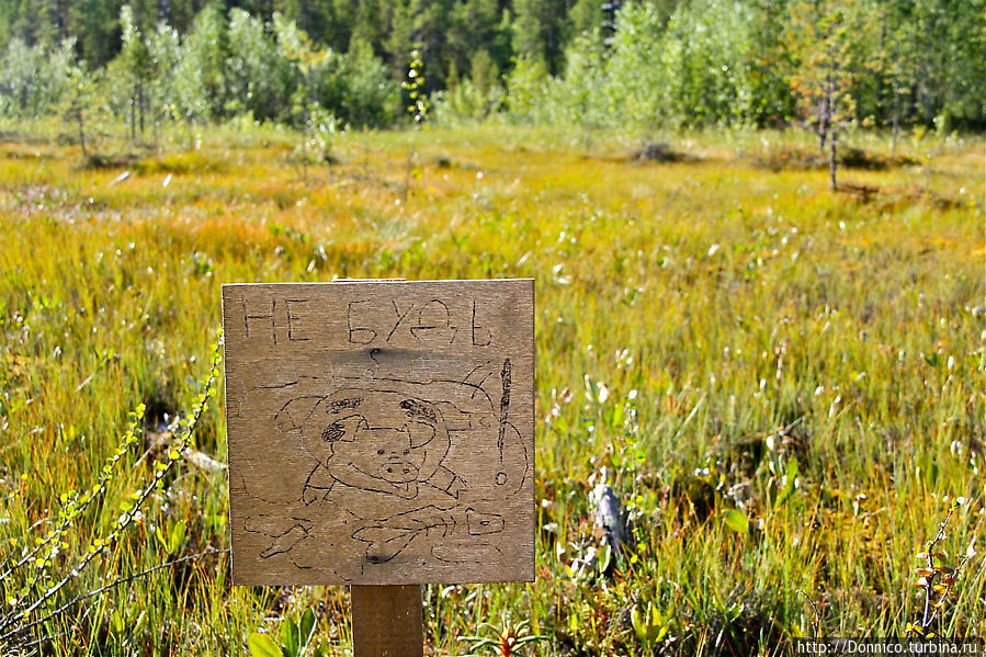 Из Рая Кошки... Раякоски, Россия