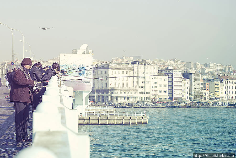 Рыбаки донельзя сосредоточены на своем занятии, идешь по мосту рано утром — уже стоят, возвращаешься обратно поздним вечером — все так же стоят и ловят, ловят рыбу.