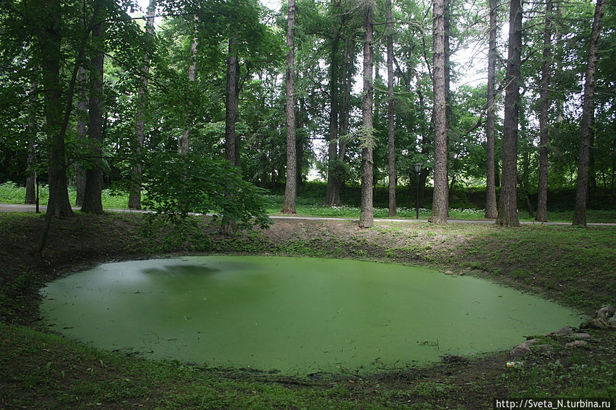 Древний прудик