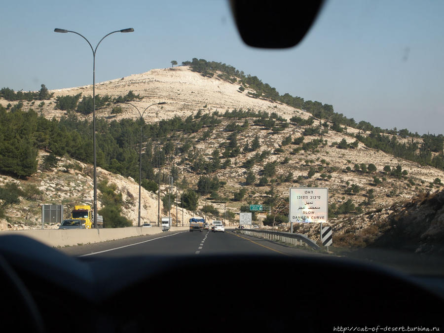 Дорога из Иерусалима на восток. Постепенно леса и кустарники сменяются пустыней. Кумран, Израиль