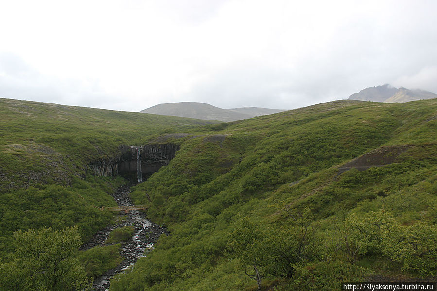 Уже и русло речки-ручейка видно Свартифосс водопад, Исландия