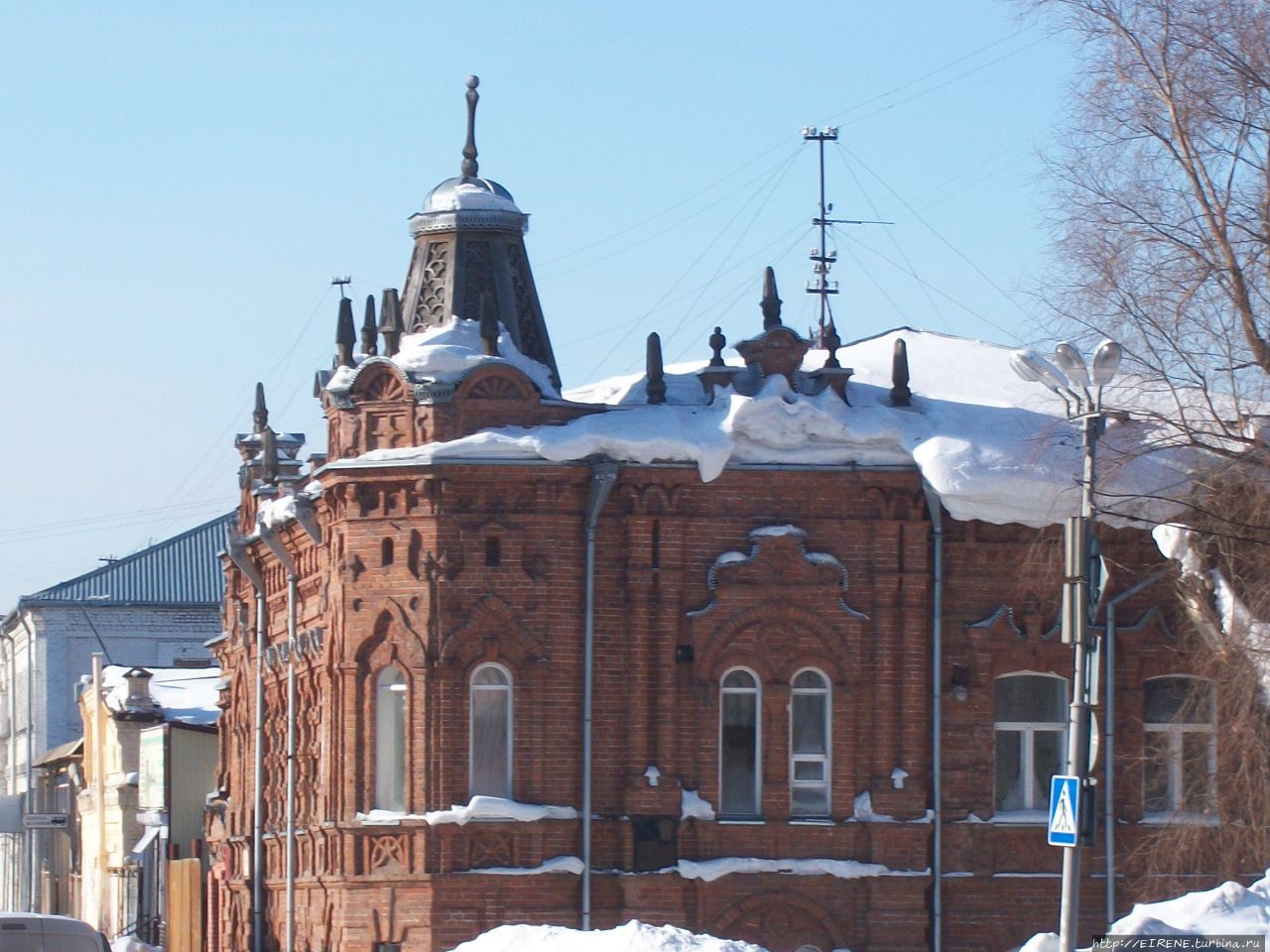 Лебединая песня из Алтайской зимовки Бийск, Россия