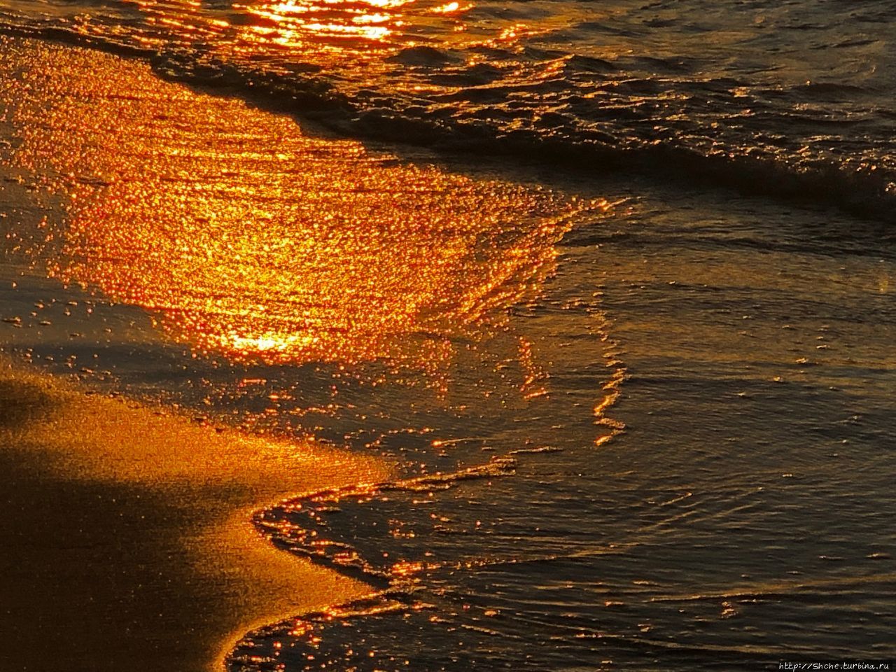 Gold sunset