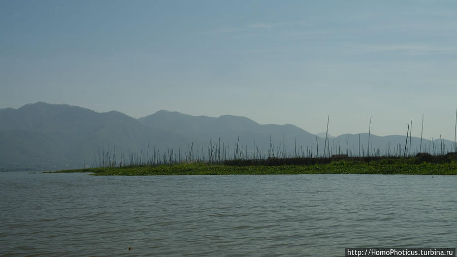 Плавающие огороды Озеро Инле, Мьянма