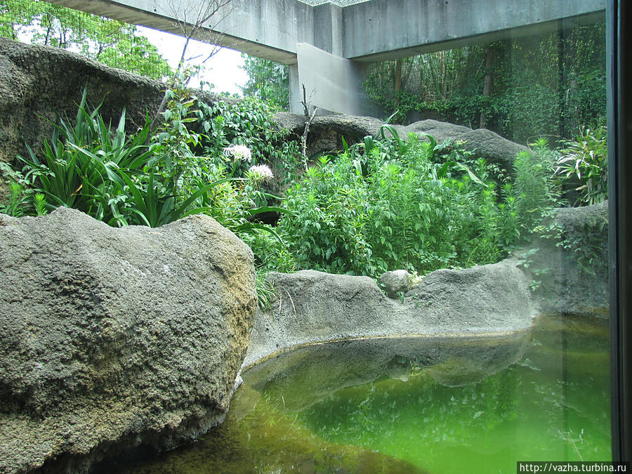 Зоопарк Осаки. Третья часть Осака, Япония