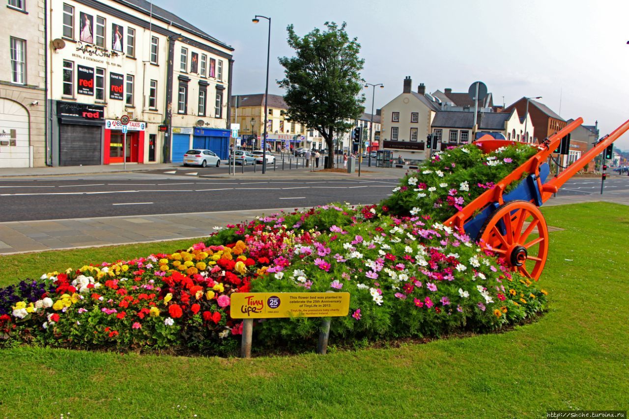 Случайное знакомство со старейшим городом Северной Ирландии Кэррикфергюс, Великобритания