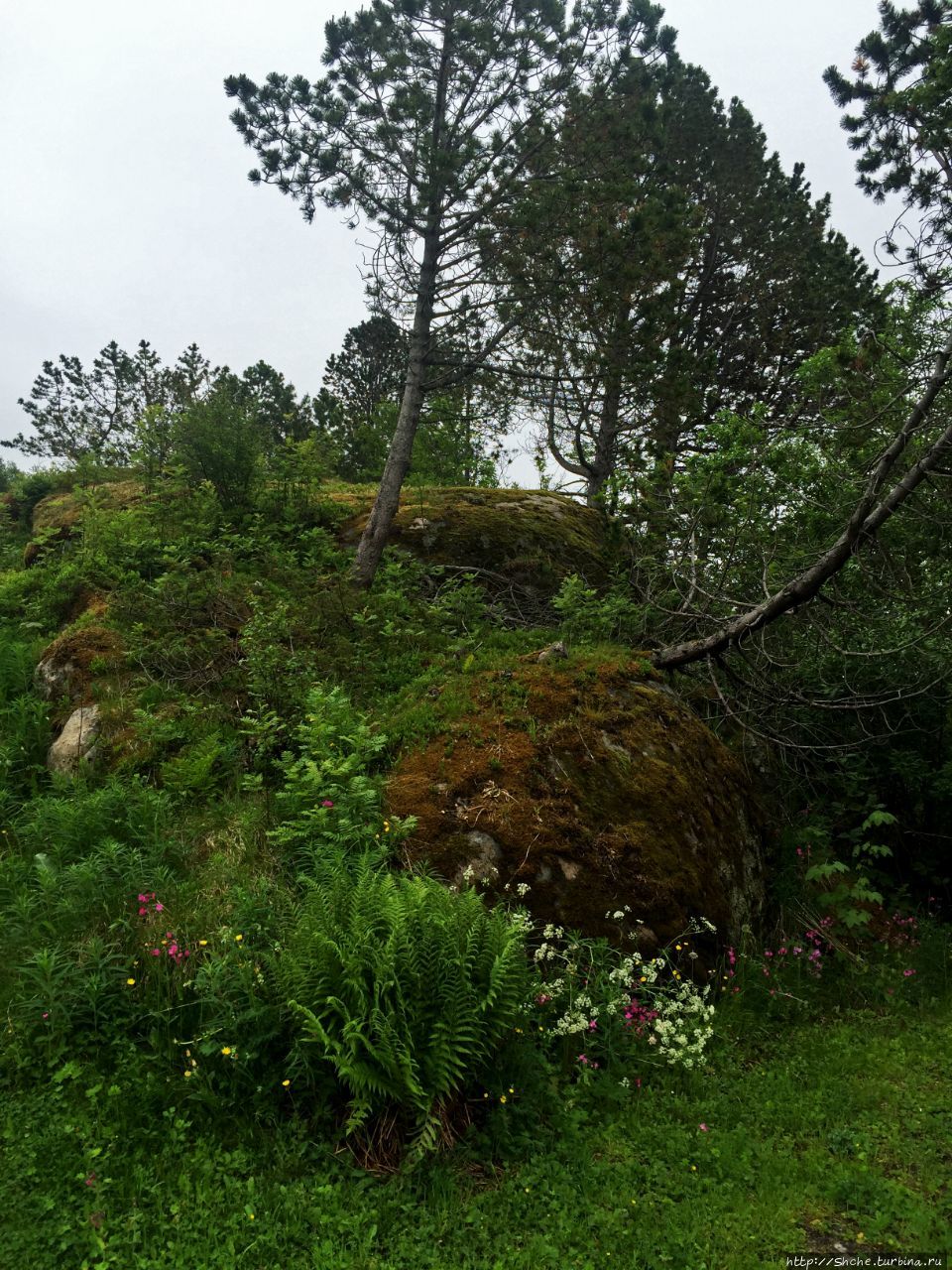 Деревушка на Лофотенах — место, где я оставил жену на 9 дней Кабельвог, Лофотенские острова, Норвегия