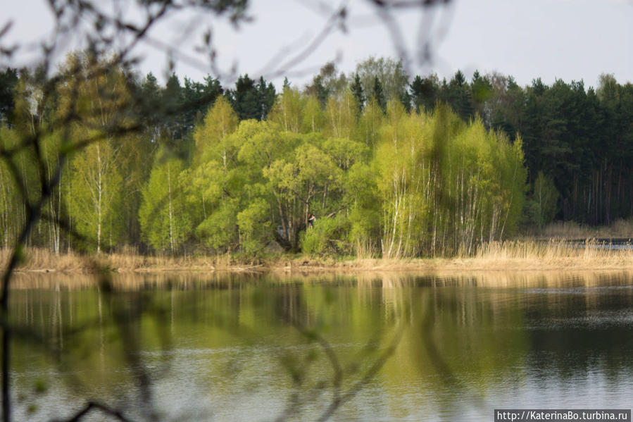 Для чего не стоит сидеть дома в первомай Истра, Россия
