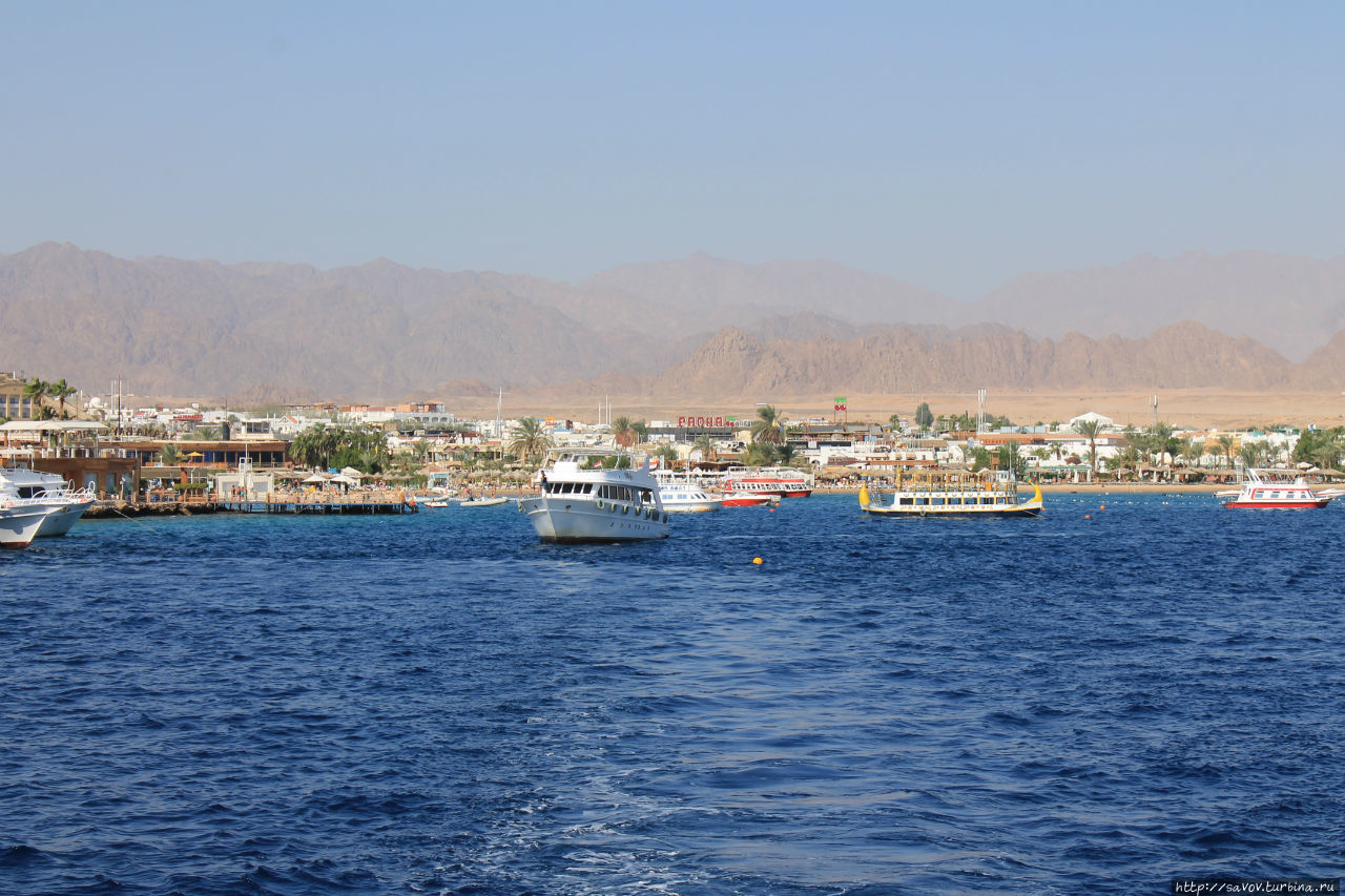 Вода шарм эль шейх сентябрь Вода шарм эль шейх сентябрь