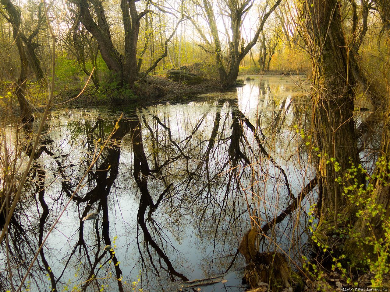 Богемия. Три дня весны (альбом) Теплице, Чехия