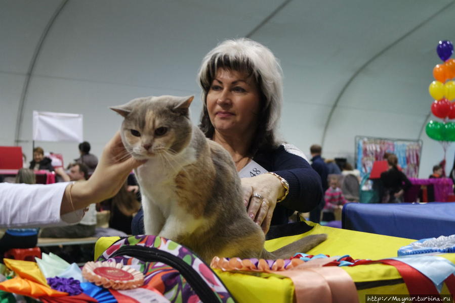 Самые  любимые... Южно-Сахалинск, Россия