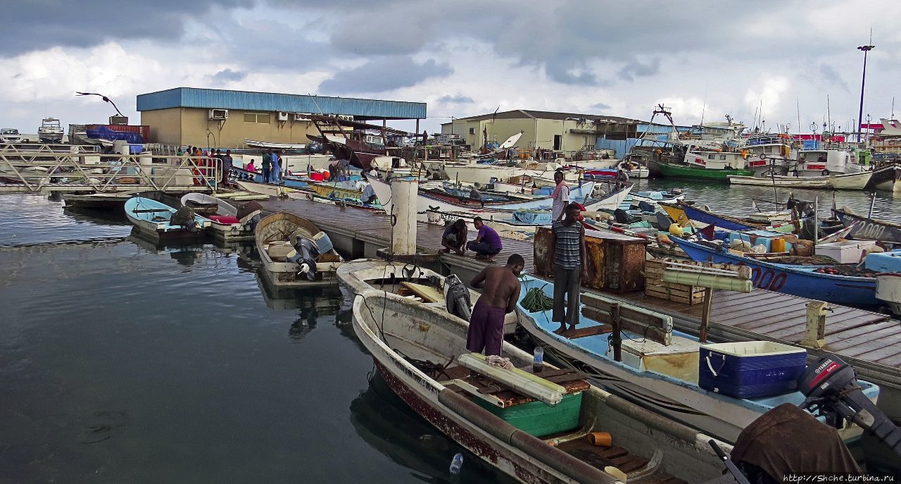 Новая жизнь старого порта Джибути