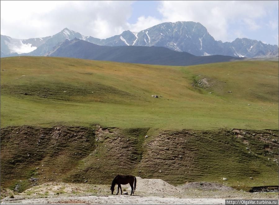 Климат Сусамырской долины суровый. Зимой здесь намного холоднее, чем за её пределами, может доходить до — 40°, да и летом не жарко — средняя температура июля + 13° Чуйская область, Киргизия