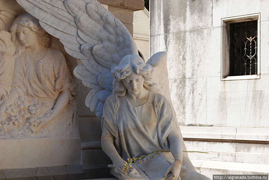 Поэтическая прогулка по гранадскому кладбищу Гранада, Испания