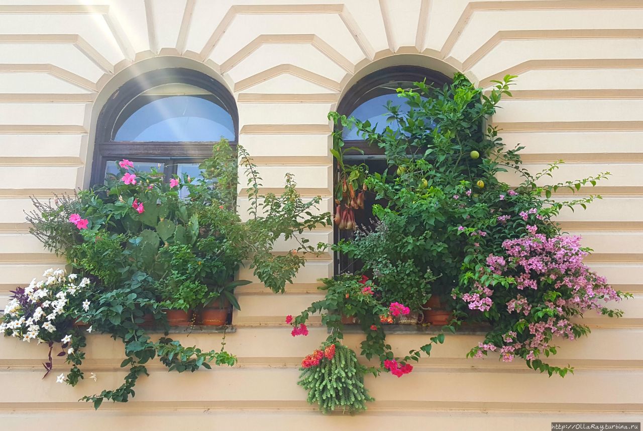 В узких каменных улочках замкового района не особенно много места для садиков и палисадов, поэтому украшают окна. Будапешт, Венгрия